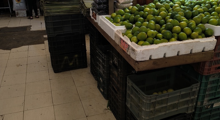 live-like-a-local-in-the-white-merida-free-tour-en-8