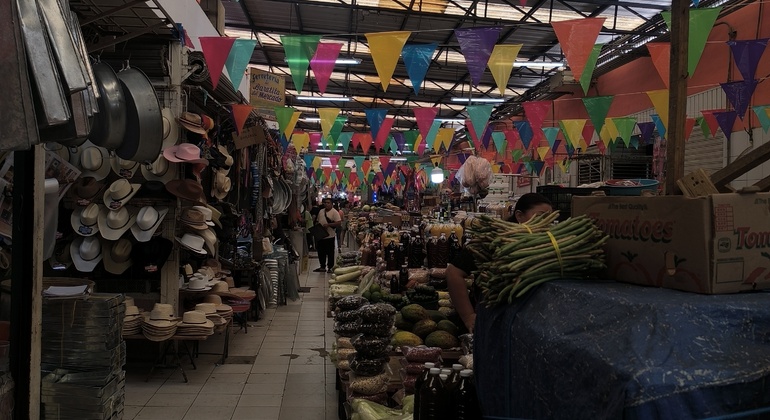 live-like-a-local-in-the-white-merida-free-tour-en-9