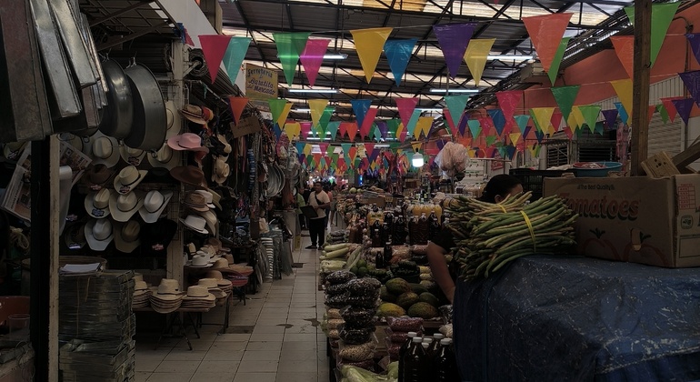 live-like-a-local-in-the-white-merida-free-tour-en-10