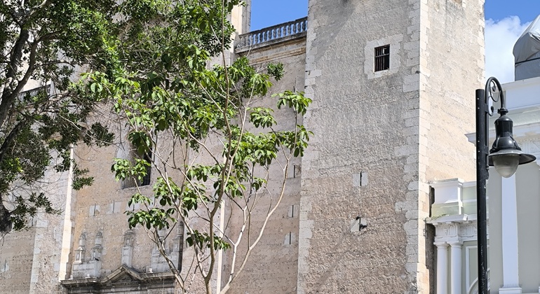 live-like-a-local-in-the-white-merida-free-tour-en-11