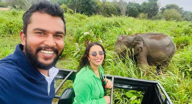 Private Kandy to Sigiriya and Minneriya Safari Day Tour