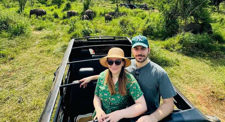 Circuit privé de Kandy à Sigiriya et Minneriya (safari d'une journée) Sri Lanka &mdash; #6