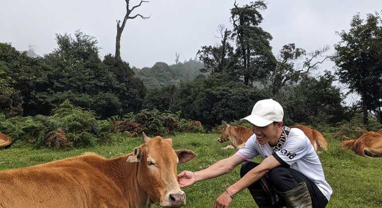 a Pa: Trekking di un giorno sul picco Fansipan con guida locale Vietnam &mdash; #3