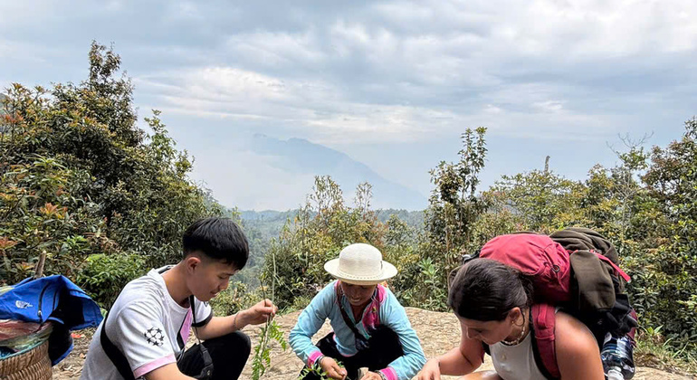 a Pa: Trekking di un giorno sul picco Fansipan con guida locale Vietnam &mdash; #5