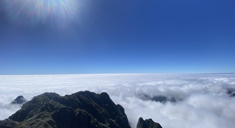 a Pa: Trekking di un giorno sul picco Fansipan con guida locale Vietnam &mdash; #8
