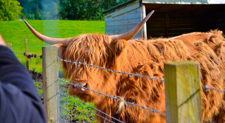 Tour completo di Loch Ness Scozia &mdash; #5