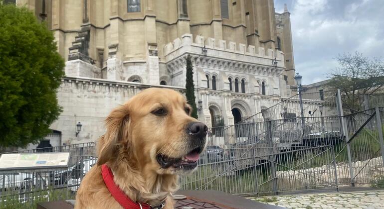 Madrid Old City Center - Rising of the Spanish Empire Spain &mdash; #3