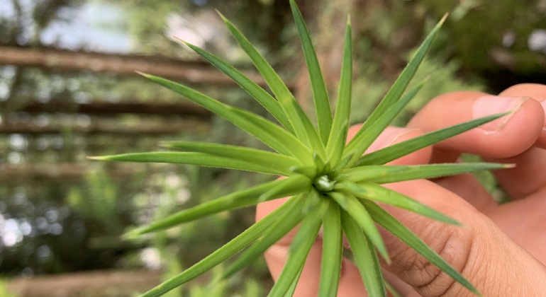 Sapa: esplorare Sa Pa in un giorno con la guida locale in moto Vietnam &mdash; #13