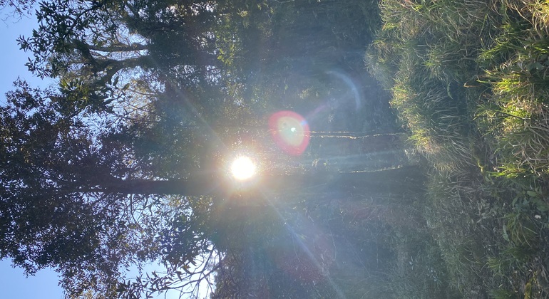 Sapa: esplorare Sa Pa in un giorno con la guida locale in moto Vietnam &mdash; #18