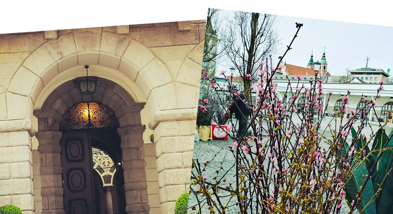 Free Tour: Historias de amor en Liubliana Eslovenia &mdash; #5