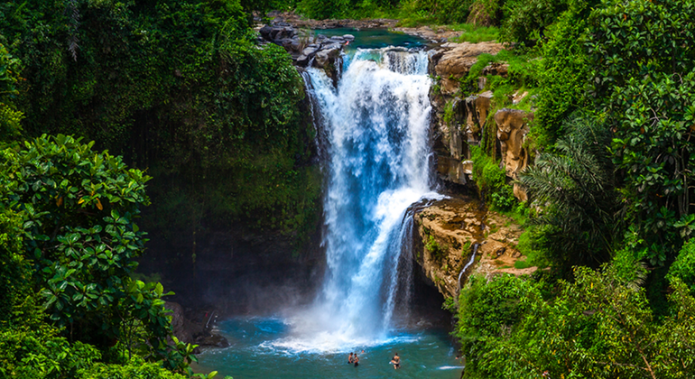 Day Tour to Waterfall-Sacred Temple-Rice Terrace &  Monkey Forest