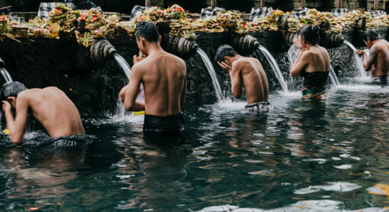 Day Tour to Waterfall-Sacred Temple-Rice Terrace &  Monkey Forest Indonesia &mdash; #5