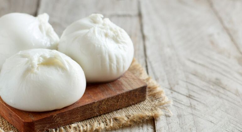 Esperienza di produzione del formaggio in una masseria tradizionale pugliese Fornito da Michele Martulli