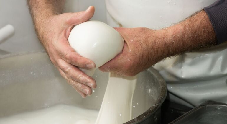 Esperienza di produzione del formaggio in una masseria tradizionale pugliese Italia &mdash; #3