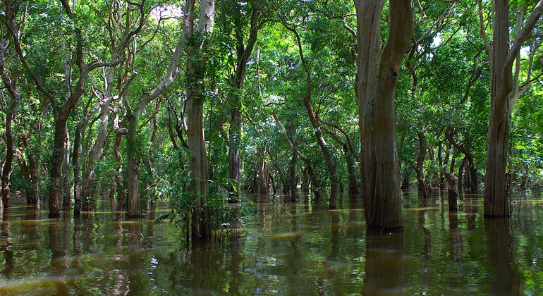 Villaggio galleggiante di Kampong Pluk e tour del tramonto del Tonle Sap da Siem Reap Cambogia &mdash; #6