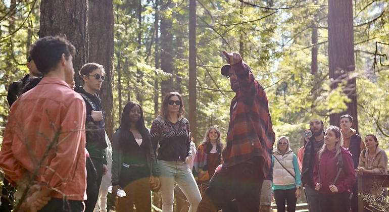 Grouse Grind & Lynn Canyon Hike, Canada