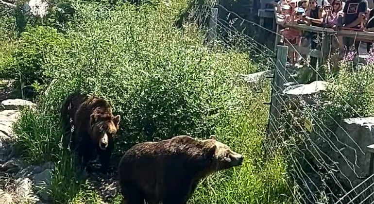 Grouse Grind et randonnée au canyon Lynn Canada &mdash; #2