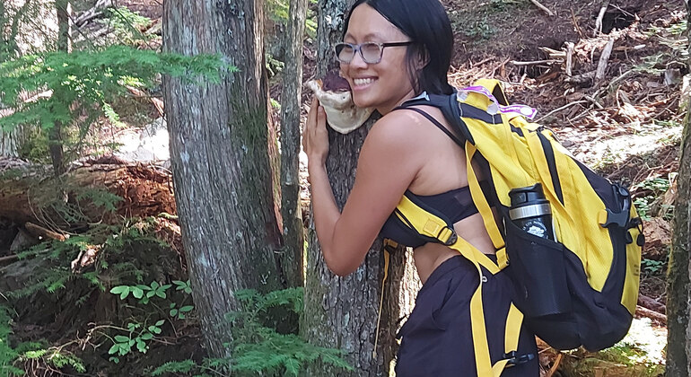 Grouse Grind et randonnée au canyon Lynn Canada &mdash; #5