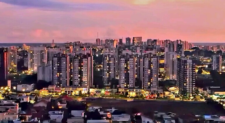 Tour Privado de Historia y Naturaleza por Manaos, Amazonas Brasil &mdash; #3