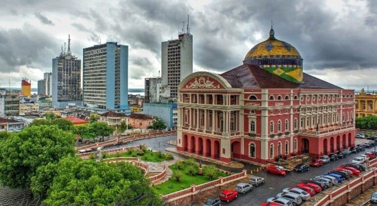 Tour Privado de Historia y Naturaleza por Manaos, Amazonas Brasil &mdash; #6