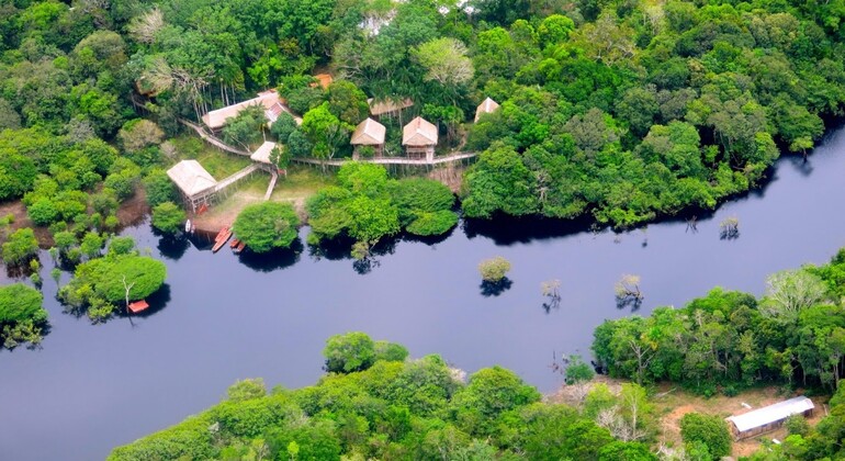 Tour Privado de Historia y Naturaleza por Manaos, Amazonas Brasil &mdash; #16