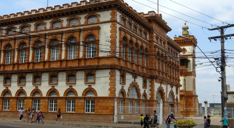 Tour Privado de Historia y Naturaleza por Manaos, Amazonas Brasil &mdash; #17