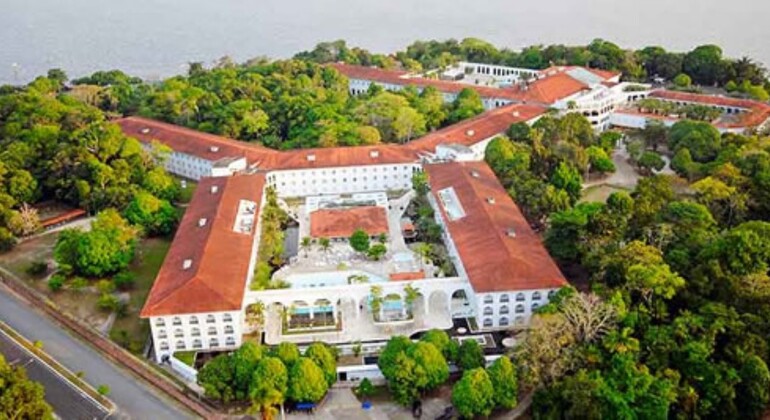 Tour Privado de Historia y Naturaleza por Manaos, Amazonas Brasil &mdash; #20