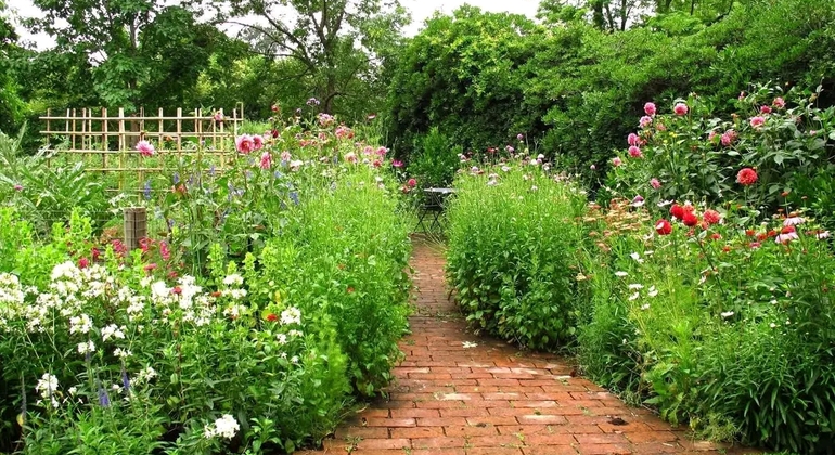 Private History and Nature Tour in the north of Buenos Aires