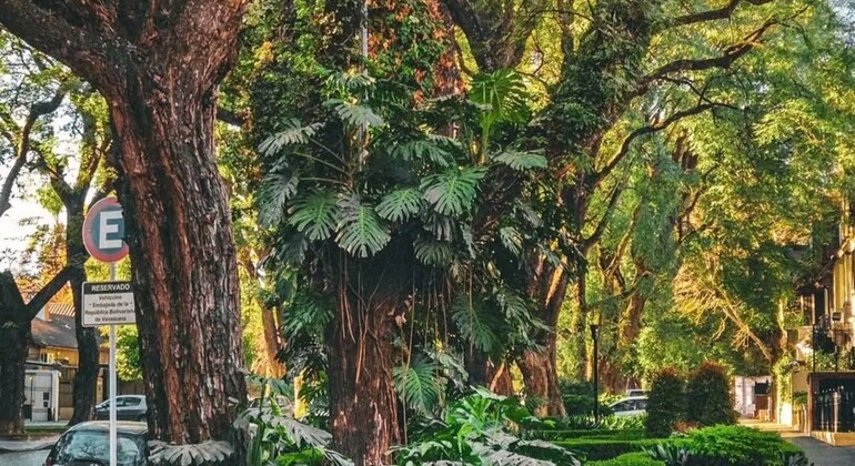 History, Piracy, and Nature Walking Tour of Belgrano