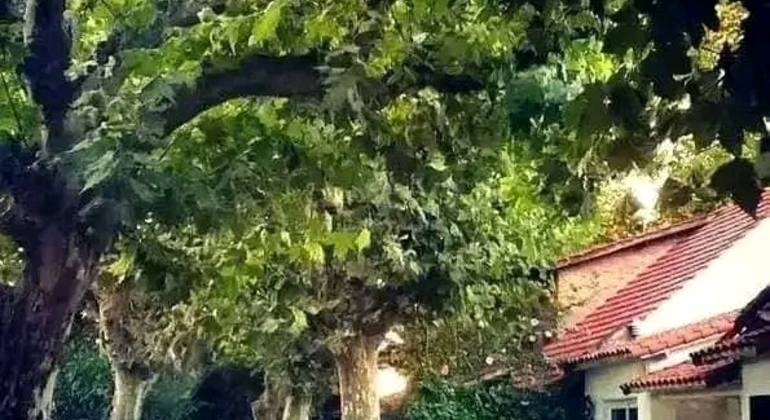 Tour di San Isidro, San Fernando, Vicente López e Ciudad Jardín global.countries. &mdash; #48