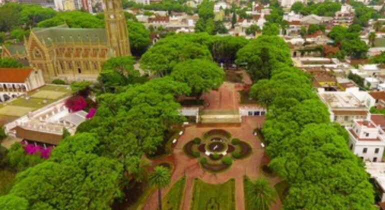 private-history-and-nature-tour-of-manaus-amazonas-es-18