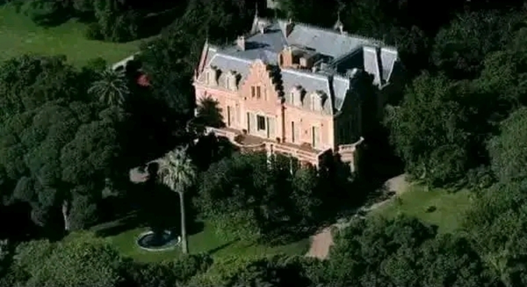 private-history-and-nature-tour-of-manaus-amazonas-en-4