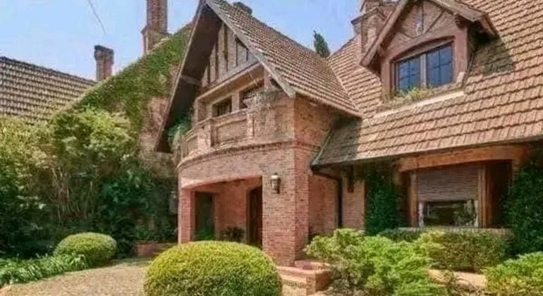 private-history-and-nature-tour-of-manaus-amazonas-en-8