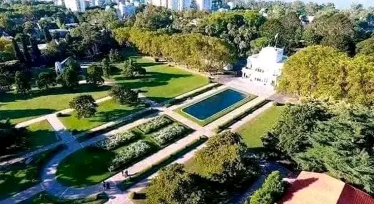 private-history-and-nature-tour-of-manaus-amazonas-en-12