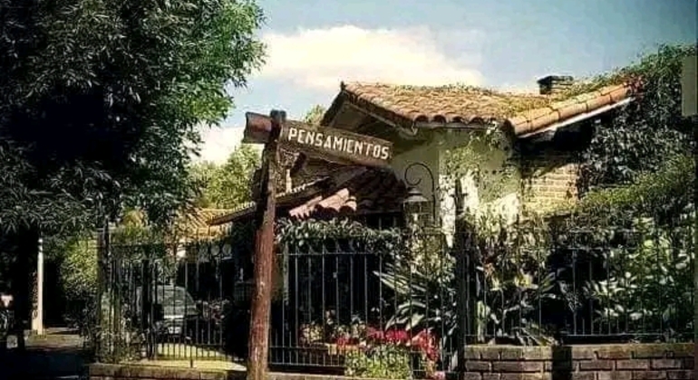 private-history-and-nature-tour-of-manaus-amazonas-en-16