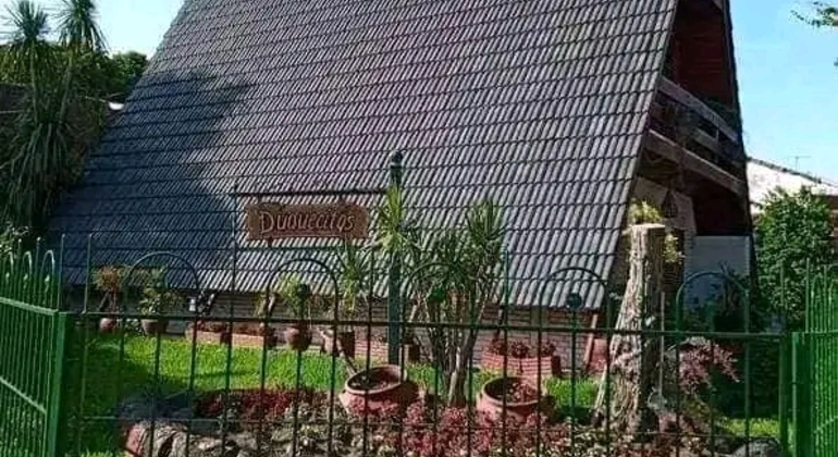 private-history-and-nature-tour-of-manaus-amazonas-en-18