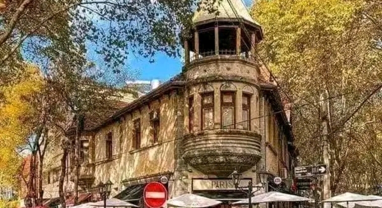 private-history-and-nature-tour-of-manaus-amazonas-en-20