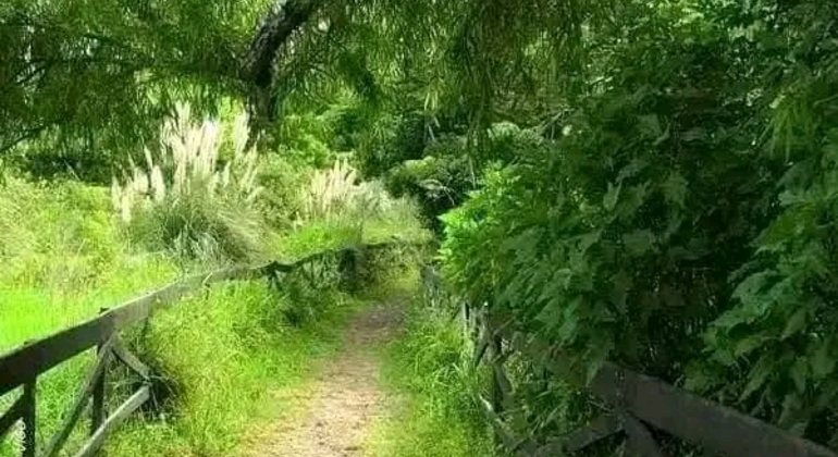 Tour di San Isidro, San Fernando, Vicente López e Ciudad Jardín Fornito da Tradiciones Celtas Latinas