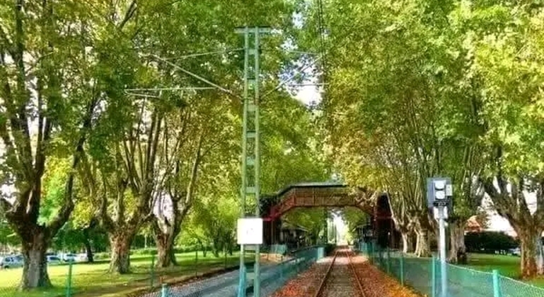 Tour di San Isidro, San Fernando, Vicente López e Ciudad Jardín global.countries. &mdash; #4