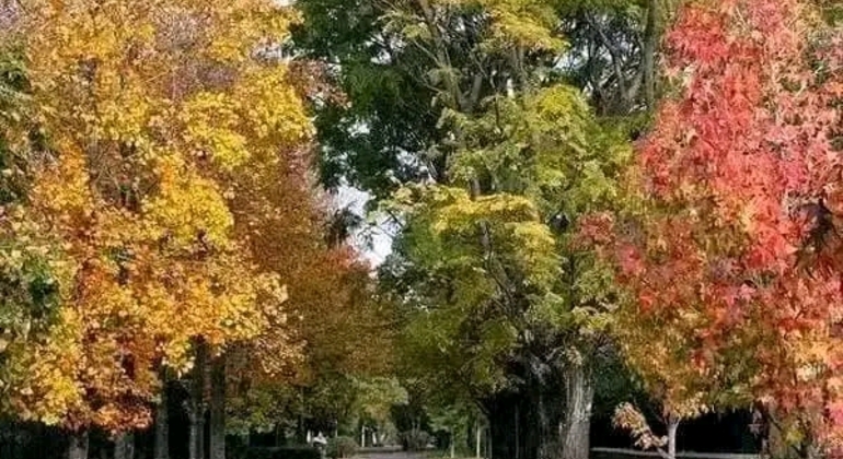 Tour di San Isidro, San Fernando, Vicente López e Ciudad Jardín global.countries. &mdash; #6