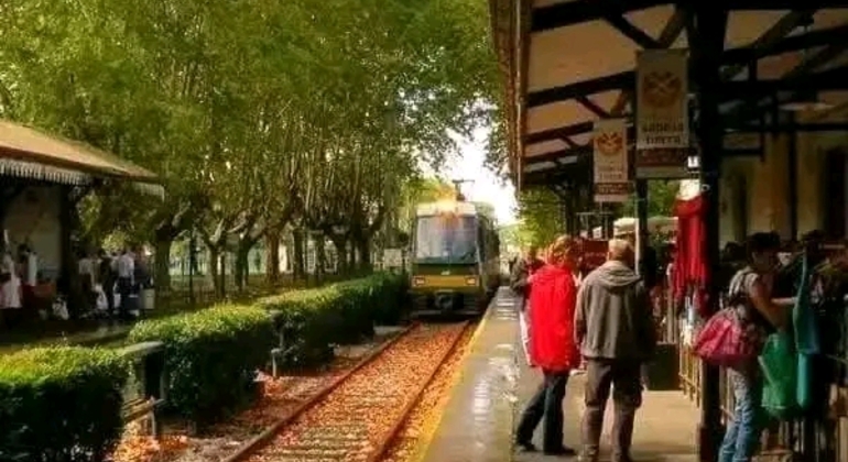 Tour di San Isidro, San Fernando, Vicente López e Ciudad Jardín global.countries. &mdash; #7