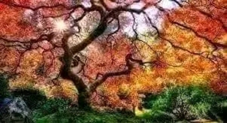 Tour di San Isidro, San Fernando, Vicente López e Ciudad Jardín global.countries. &mdash; #13