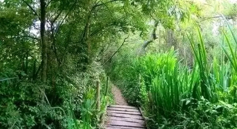 Tour di San Isidro, San Fernando, Vicente López e Ciudad Jardín global.countries. &mdash; #16