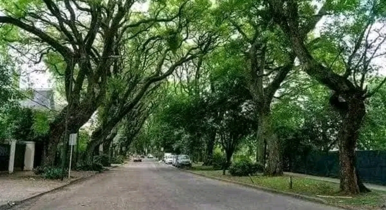 Tour di San Isidro, San Fernando, Vicente López e Ciudad Jardín global.countries. &mdash; #34