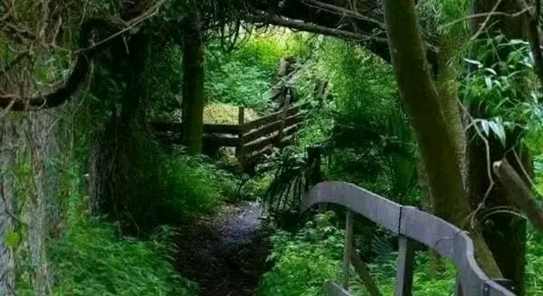 Tour di San Isidro, San Fernando, Vicente López e Ciudad Jardín global.countries. &mdash; #40