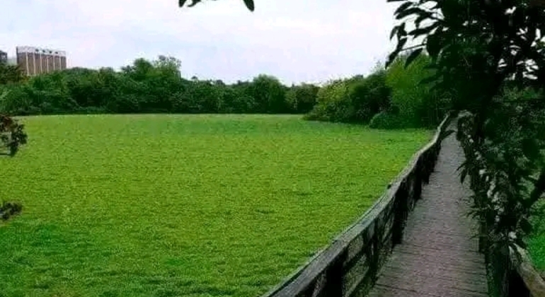 Tour di San Isidro, San Fernando, Vicente López e Ciudad Jardín global.countries. &mdash; #41