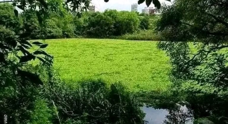 Tour di San Isidro, San Fernando, Vicente López e Ciudad Jardín global.countries. &mdash; #43