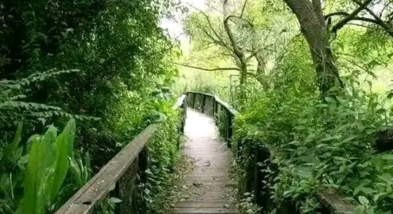 Tour di San Isidro, San Fernando, Vicente López e Ciudad Jardín global.countries. &mdash; #44