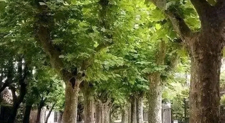 Tour di San Isidro, San Fernando, Vicente López e Ciudad Jardín global.countries. &mdash; #46