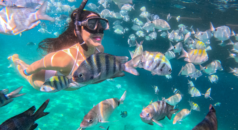 Angra dos Reis: A Unique Tour in Paradise Provided by Rio40 Graus Turismo